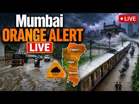 Mumbai Rains LIVE: IMD Issues Alert Across Mumbai, Thane & Palghar | Local Train & Weather Updates