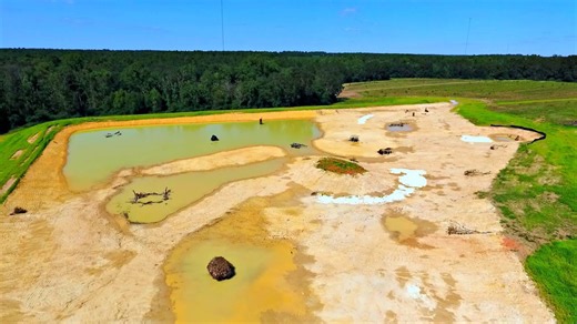 Building a 5 acre pond! (New pet ducks)