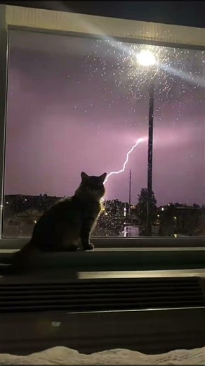 These Lightning Strikes Are UNREAL ⚡🤯