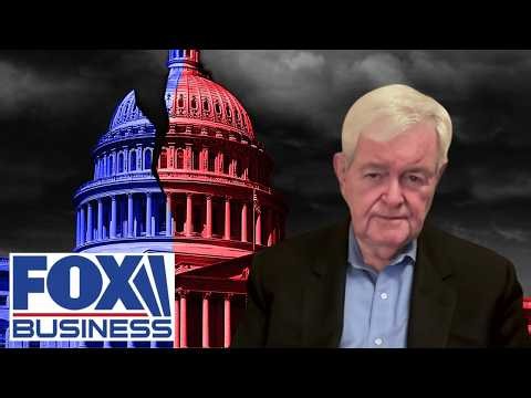 Gingrich: We've tried this experiment before and it has 'MISERABLY FAILED' | Recap