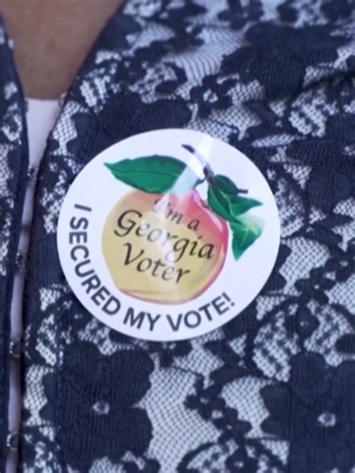 This election cycle, one volunteer is giving senior citizens in Georgia a lift to the polls.