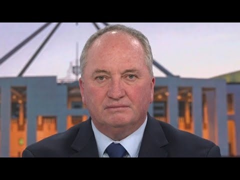 ‘Serious problem for Australia’: Joyce demands solutions from Labor and Coalition amid fuel crisis