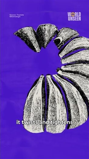 Why You Should Never Touch This Tree #sandboxtree #huracrepitans #dynamitetree