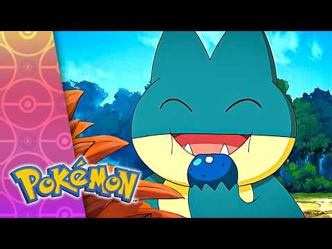 Berry, Berry Interesting | POKÉMON FULL EPISODE 25 | Season 8