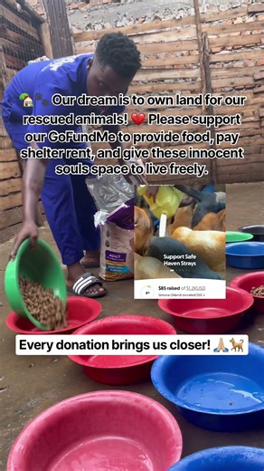 Every donation brings us closer ! 🙏🏼🐕