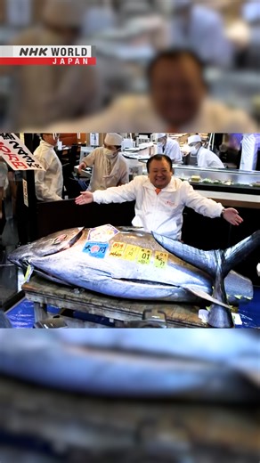 Tuna fetches record $3.2 million at Tokyo New Year auction | NHK WORLD-JAPAN