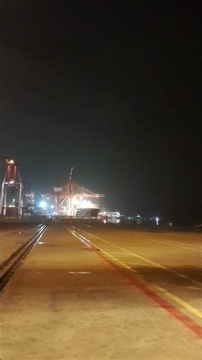 Huge Cranes Loading Containers – Port Operations in Action 🏗️📦