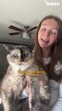 College Student Comes Home to Help Her Cat Lose Weight | The Dodo