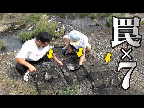 大量の罠をキャンプ地の横の川に仕掛けたら…