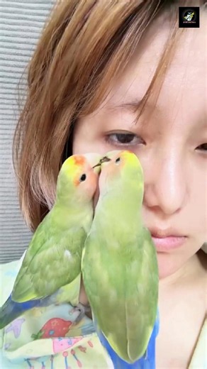 The Cutest Parrot Moment Ever 😂❤️
