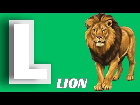 L for Lion | Learn English Alphabet with Animals
