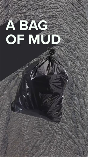 A bag of mud