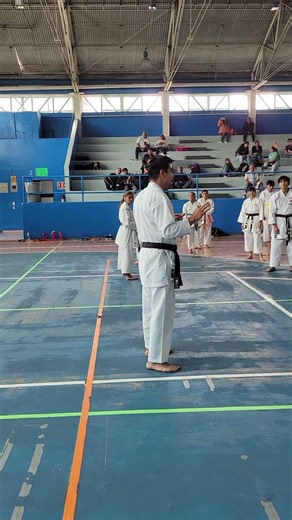 Mejora tu Gyaku zuki #karate #kumite