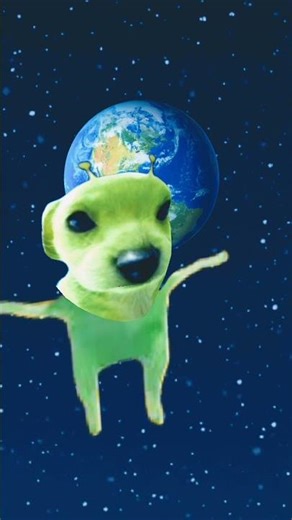 alien Dog 👾 will attack 😱🙀😨😱