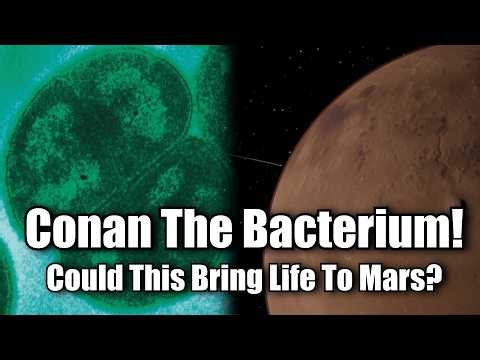 Could Life On Earth And Life On Mars Be The Same Thing?