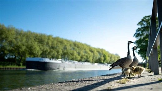 Wetter-Vorhersage: Sommertage in Sicht - 25-Grad-Marke wird geknackt