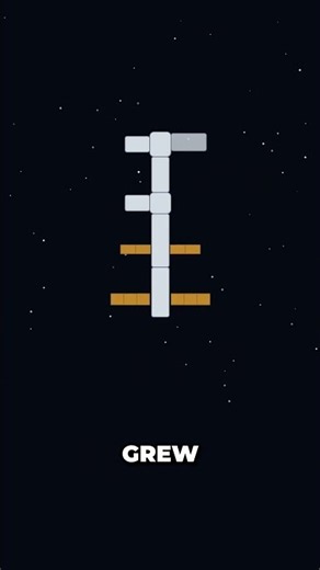 How Did the ISS Get Up There? 🛰️ (Explained With Animation) #shorts