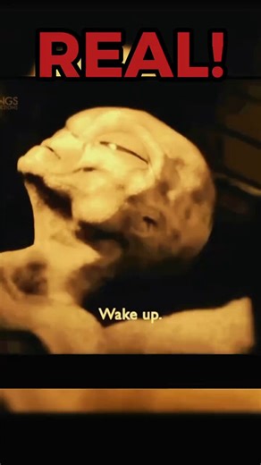 🛸 LEAKED 1964 ALIEN INTERVIEW? EBE-3 Warned About AI 60 Years Ago… And It’s Happening Now 😱