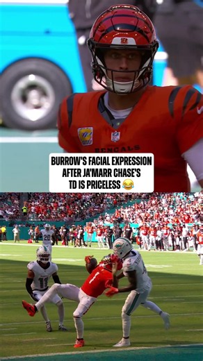 literally all of us 😭 #nfl #jamarrchase #joeburrow #cincinnatibengals | bengals vs dolphins