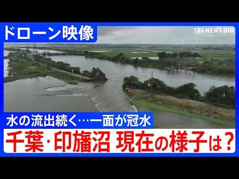 【千葉･印旛沼】ドローン映像で見る現在の様子　水の流出･冠水続く　台風25号の影響残る　水に浸かる住宅街…田んぼが冠水する様子も（2026年9月24日）｜TBS NEWS DIG