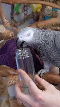 The Birds are Evolving 🌎