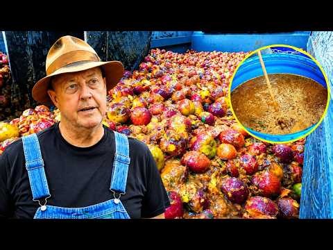 Mark And Digger Turn Wasted Peaches Into Moonshine | Moonshiners