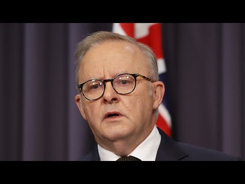 Albanese's ‘incompetence’ speculated to be reason PM will not call royal commission