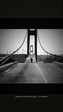 Tacoma Narrows 1940: the professor, the dog and the bite