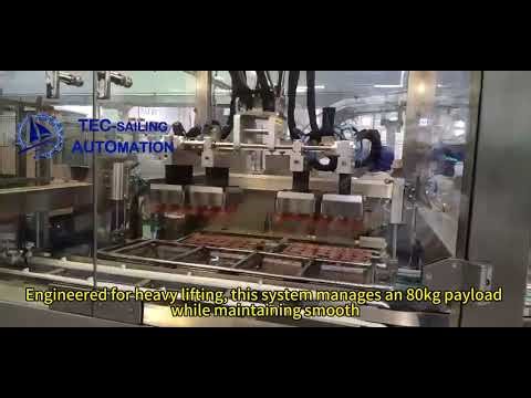 Heavy-Duty 80kg Diamond Robot Case Packing | Ice Cream Cup & Divider Inserter | Tec-Sailing