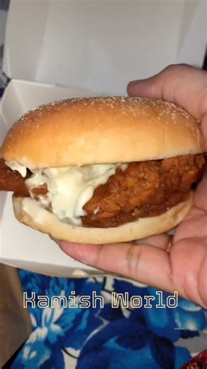 McDonald's Food Review | Worth It? | Please Subscribe for 10k ❤️#shorts #mcdonalds