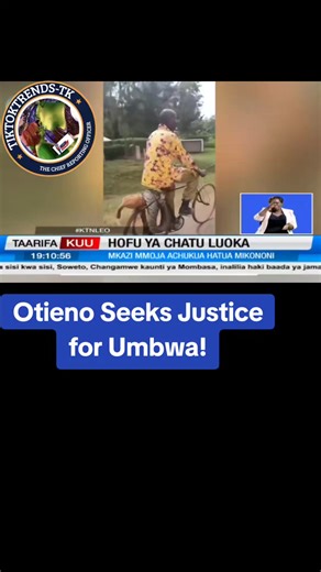 Python kills dog in kisumu #foryou #tiktokkenya trending in kenya #tiktoktrends_tk #foryoupage #fyp