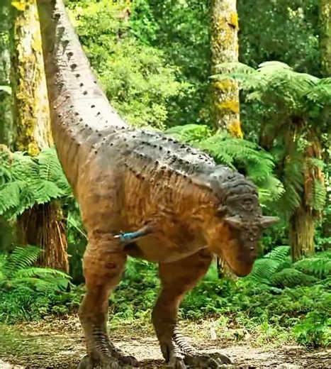 Carnotaurus in Movies VS Real Life 💀🥹 #carnotaurus #dinosaur #jurassicworld #fyp #shorts #trex