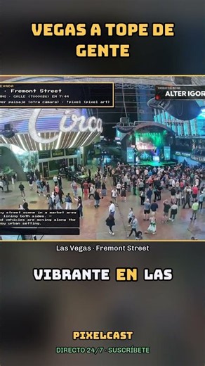 Vegas Night Vibes · Live cam in Las Vegas #Shorts