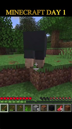 minecraft survival day 1 | #minecraft #viral #shortsfeed