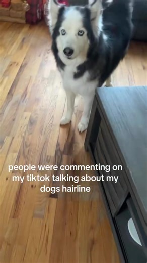 Honesty from Veterans: Insights and Experiences