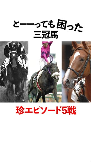 とても困った三冠馬 珍エピソード5選 #競馬 #菊花賞