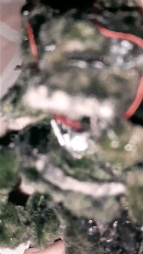 springtrap trying to take off his mask