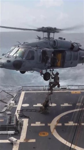 US NAVY. SPECIAL FORCES. NAVY SEALS