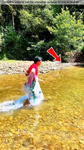 মাছ ধরতে গিয়ে লোকটির সঙ্গে এমন কিছু ঘটবে কল্পনা করেনি #fishinglife #viralvideo #fish #fishingtips