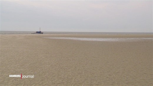 "Aktenzeichen XY": Tod eines Hamburger Unternehmers wird neu aufgerollt