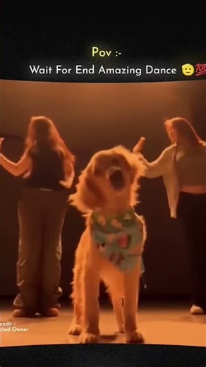 🐶💃 Two Girls + One Dancing Dog = Pure Fun! 😂❤️