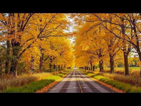 "Finding peace in Autumn" Beautiful Relaxing Music, Soothing Instrumental Music by Love YourSelf