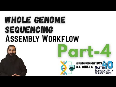 Whole Genome Sequencing & Assembly Workflow | Part-4 | From Zero to Hero