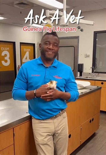 Small squeaks, long-term commitment 🐾 #PetSmartAskAVet #AnythingForPets