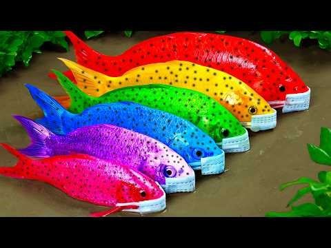 Best Of Small Fish Recipe | MINIATURE Fish Cooking Made EASY with Simple Recipe