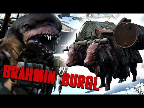 Become A Brahmin Burglar (With Consequences!) | Fallout 4 mods