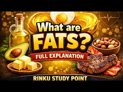 #Class 6 Science/Lesson 1/Components of Food/Part 4/ Fats/ What are fats/ Full Explanation of Fats