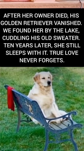 A Dog's Love Never Dies Loyalty 10 Years of