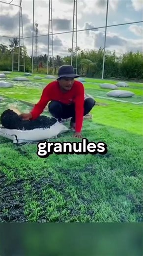 What Makes Artificial Turf So Special?😲 #shorts