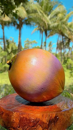 The Most Aesthetic Coconut Ever #aesthetic